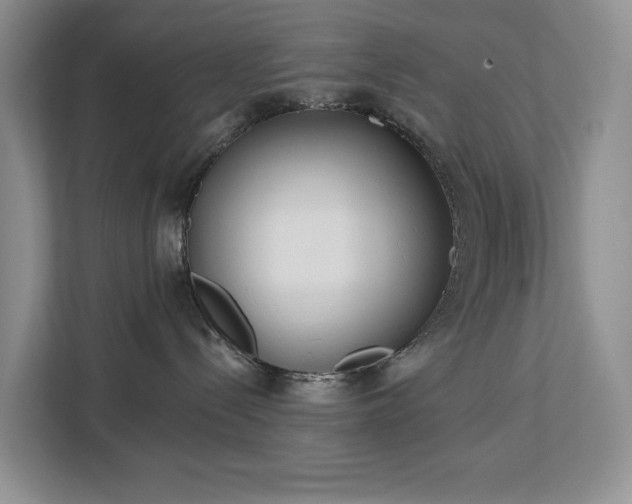 X0000113060288200908281140