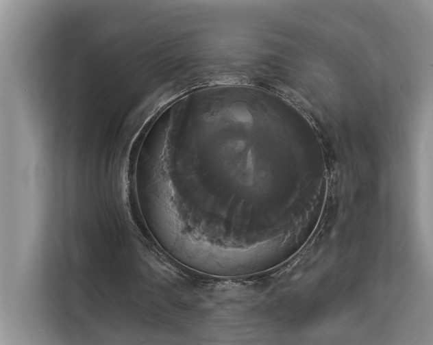 X0000113060290200908281140