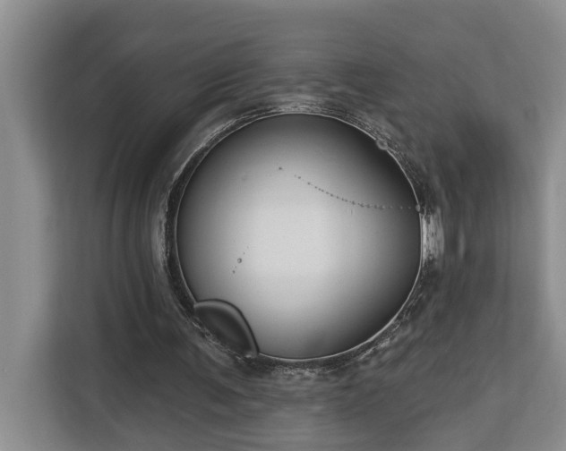 X0000113060291200908281140