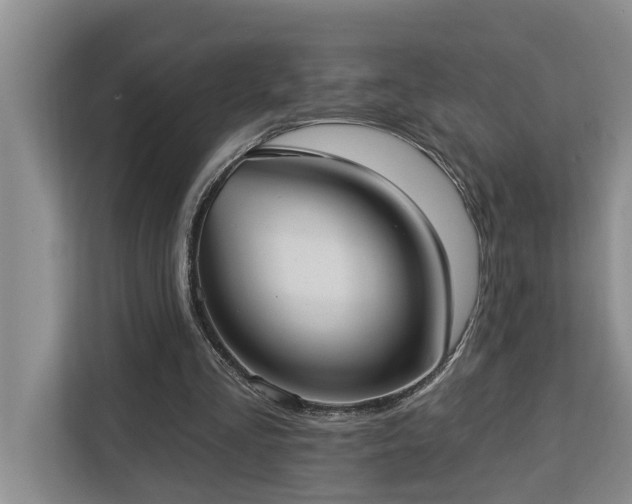 X0000113060293200908281140