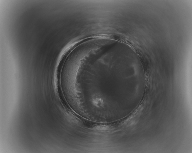 X0000113060294200908281140