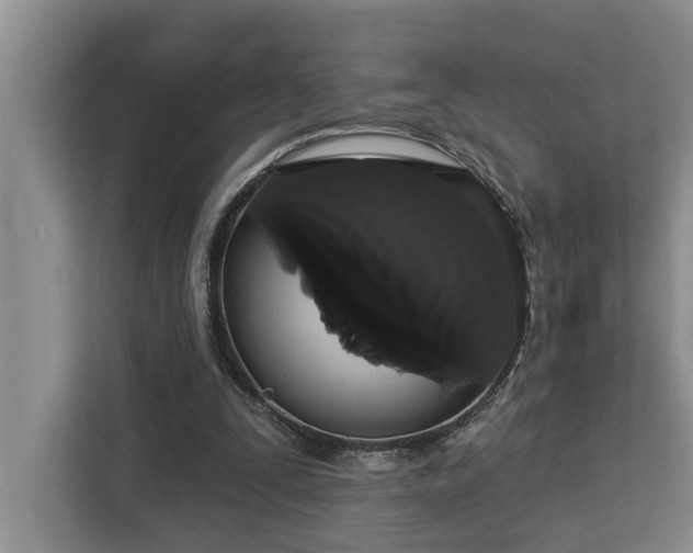 X0000113060295200908281140
