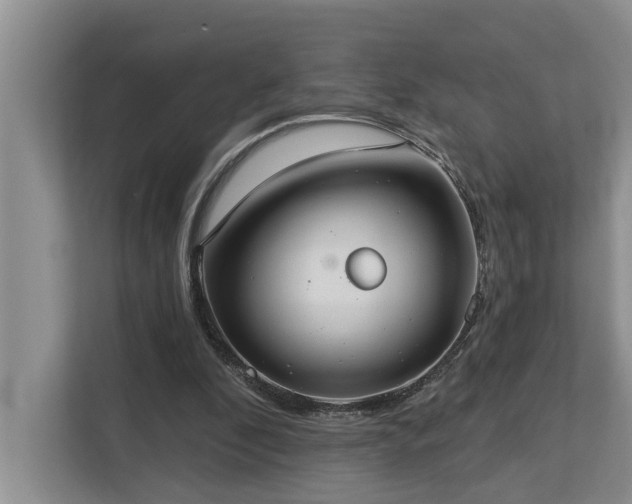 X0000113060296200908281140