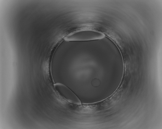 X0000113060297200908281140