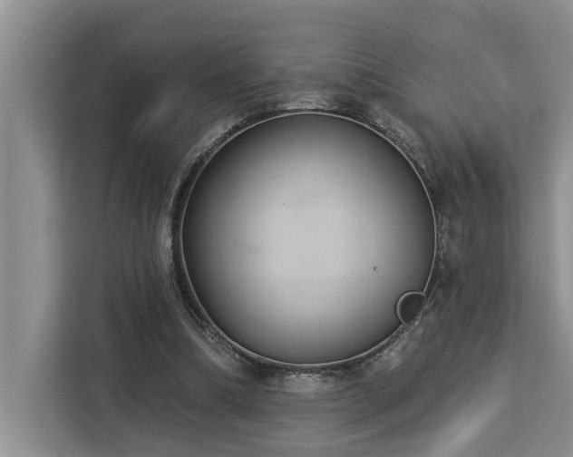 X0000113060298200908281140