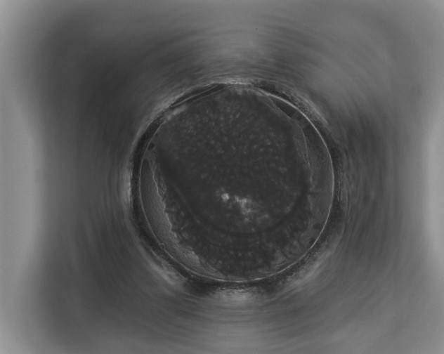 X0000113060299200908281140