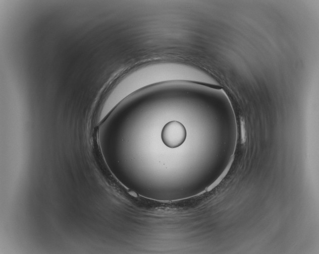 X0000113060300200908281140