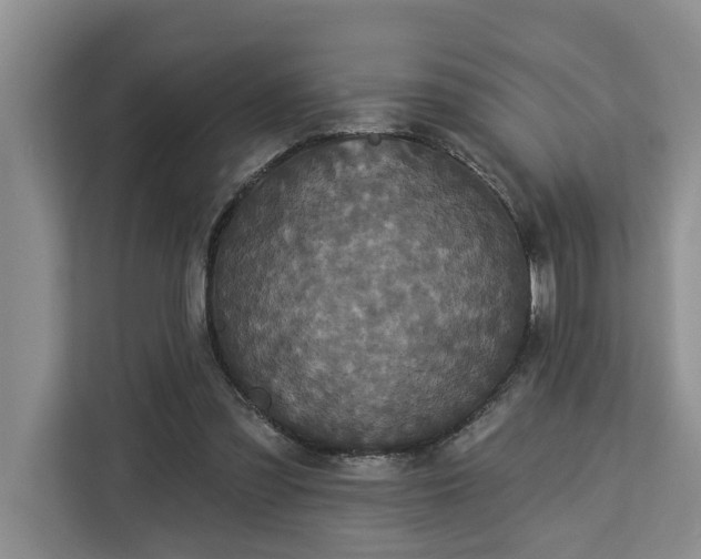 X0000113060301200908281139