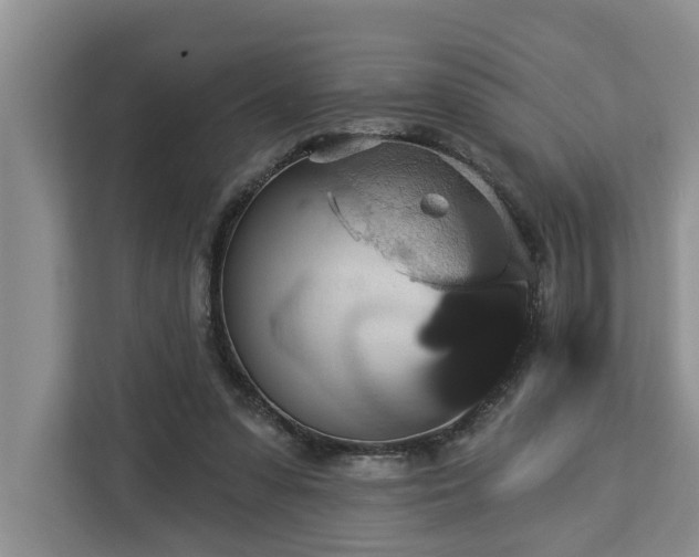 X0000113060303200908281139