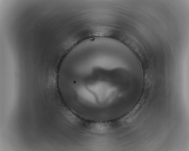 X0000113060305200908281139