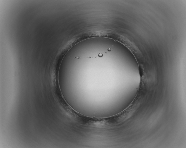 X0000113060306200908281139