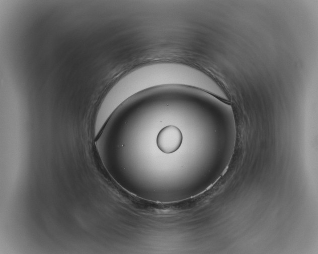 X0000113060309200908281139