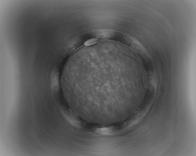 X0000113060312200908281139