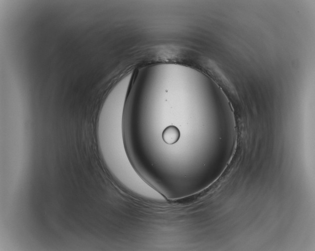 X0000113060313200908281139
