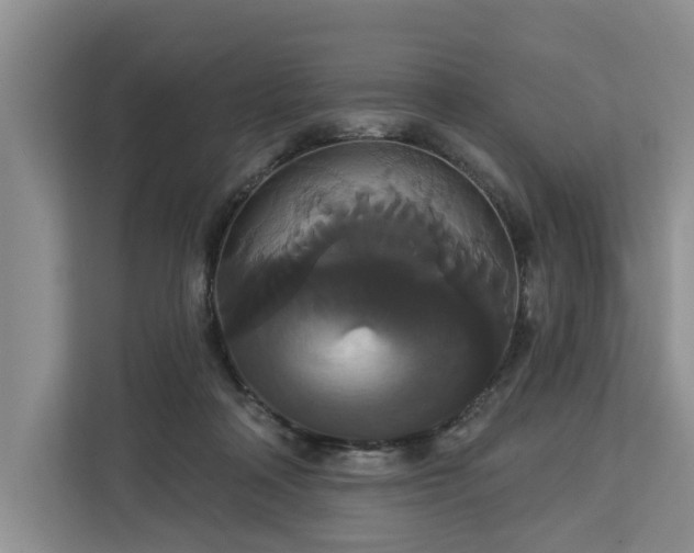 X0000113060314200908281139
