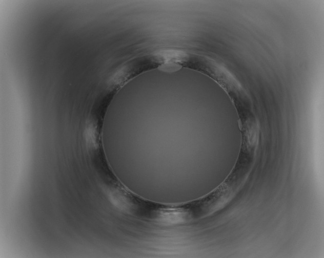 X0000113060316200908281139
