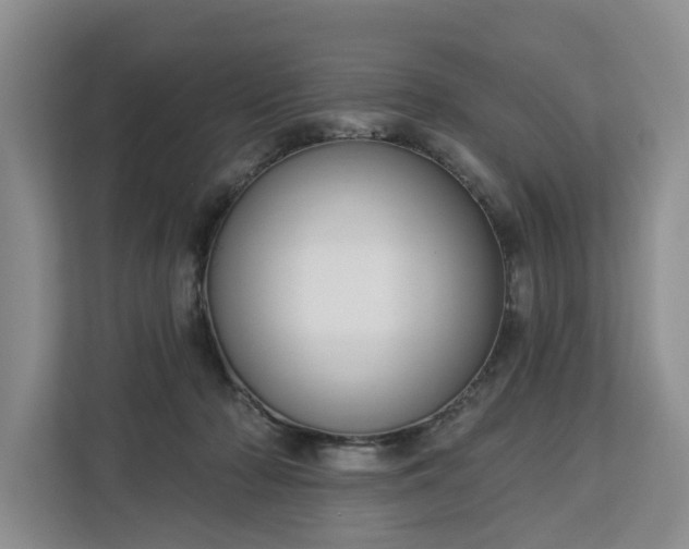 X0000113060318200908281139