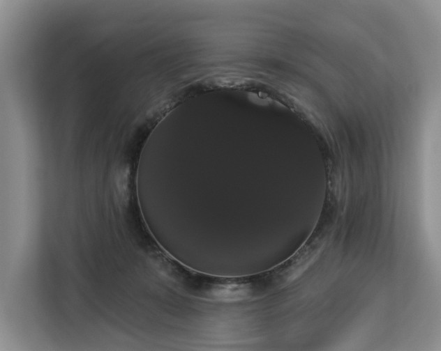 X0000113060319200908281139