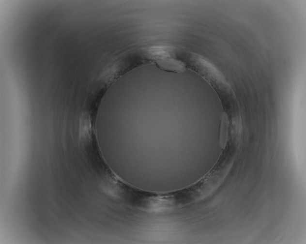 X0000113060320200908281139