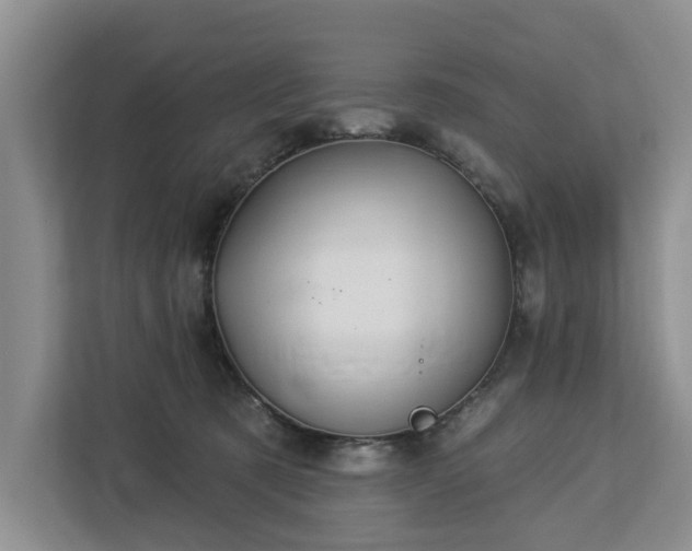 X0000113060321200908281139
