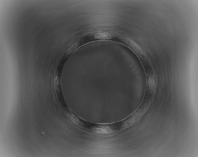 X0000113060322200908281139