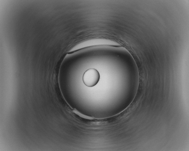 X0000113060323200908281139