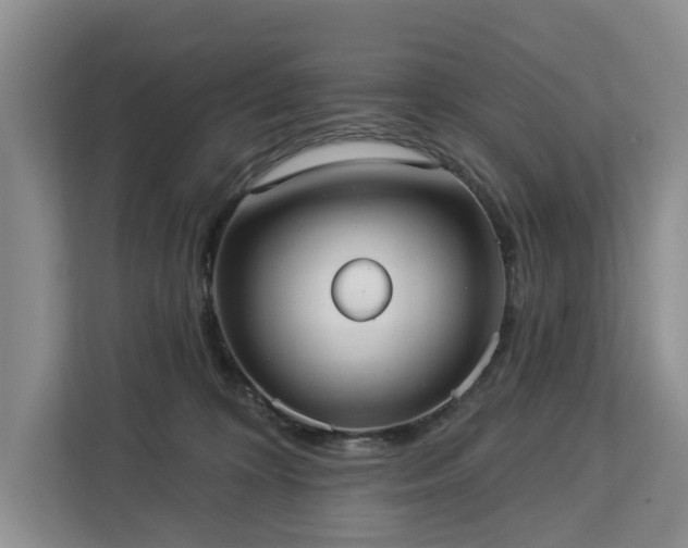 X0000113060324200908281139