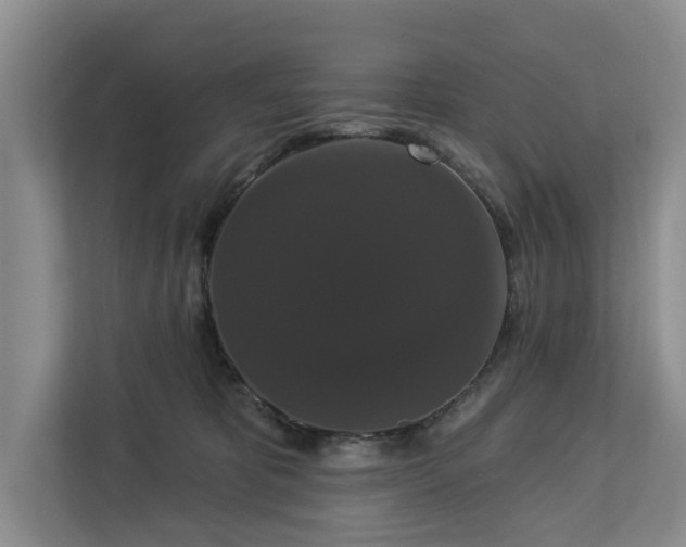 X0000113060325200908281139