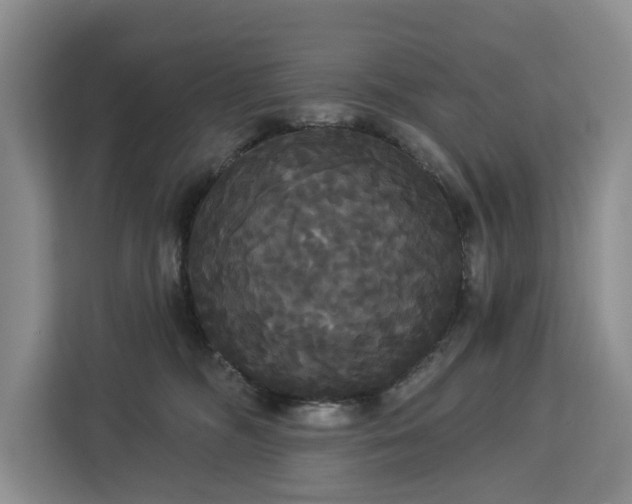 X0000113060326200908281139