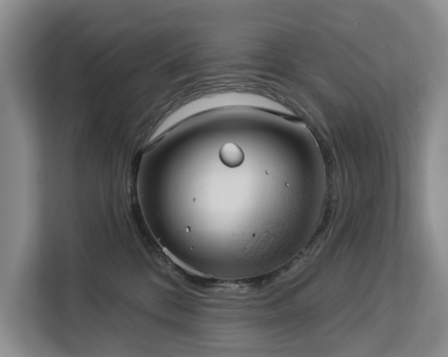 X0000113060328200908281139