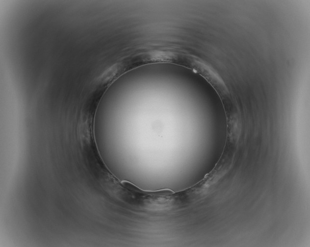 X0000113060329200908281139