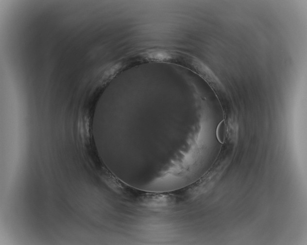 X0000113060330200908281139