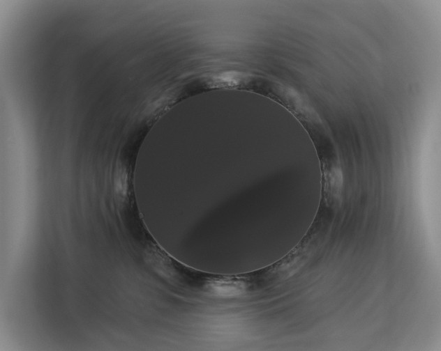 X0000113060331200908281139