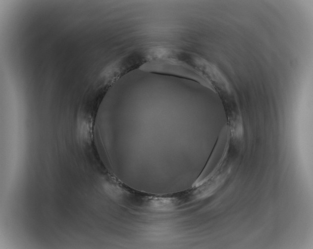 X0000113060332200908281139