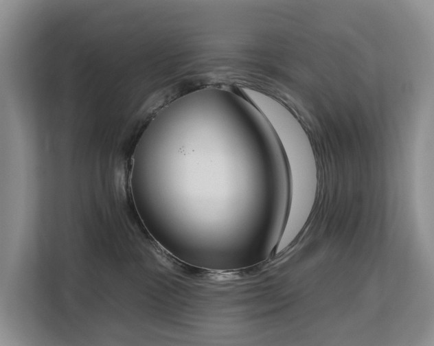 X0000113060333200908281139