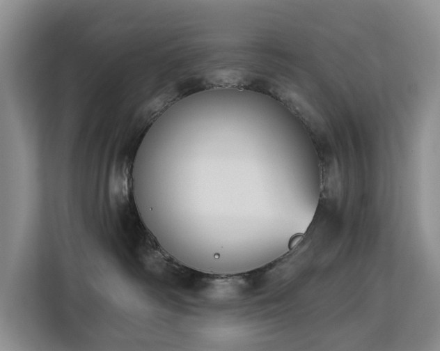 X0000113060334200908281139