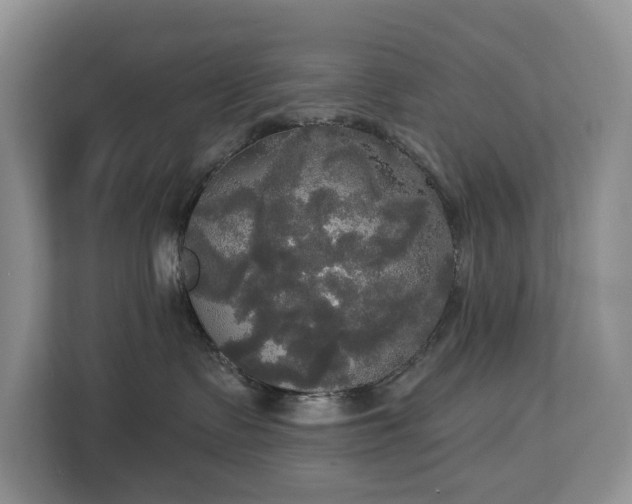 X0000113060335200908281139