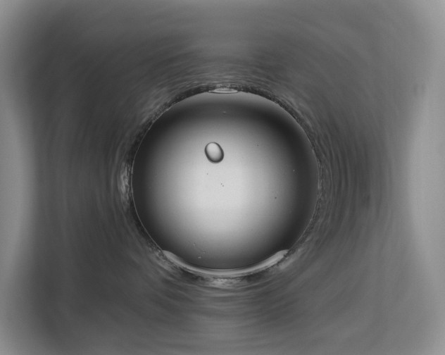 X0000113060336200908281139