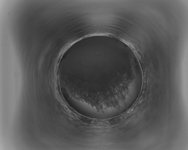 X0000113060337200908281138