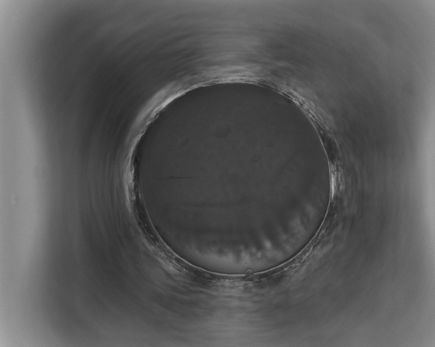 X0000113060339200908281138