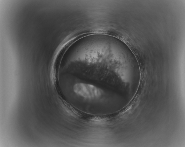 X0000113060343200908281138