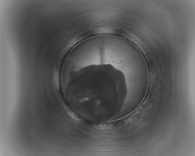 X0000113060345200908281139