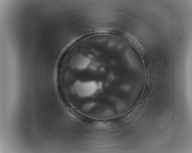 X0000113060346200908281139