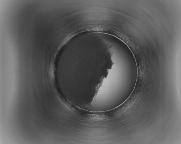 X0000113060347200908281139