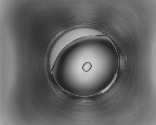 X0000113060348200908281139