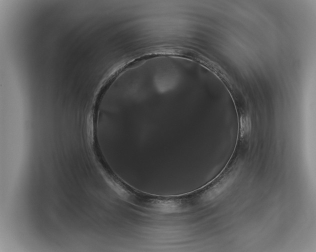 X0000113060349200908281139