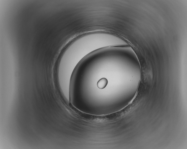 X0000113060350200908281139