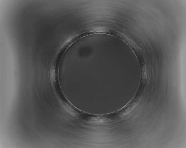 X0000113060351200908281139