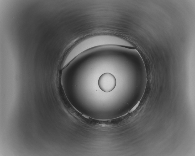 X0000113060352200908281139