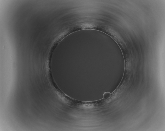 X0000113060353200908281139